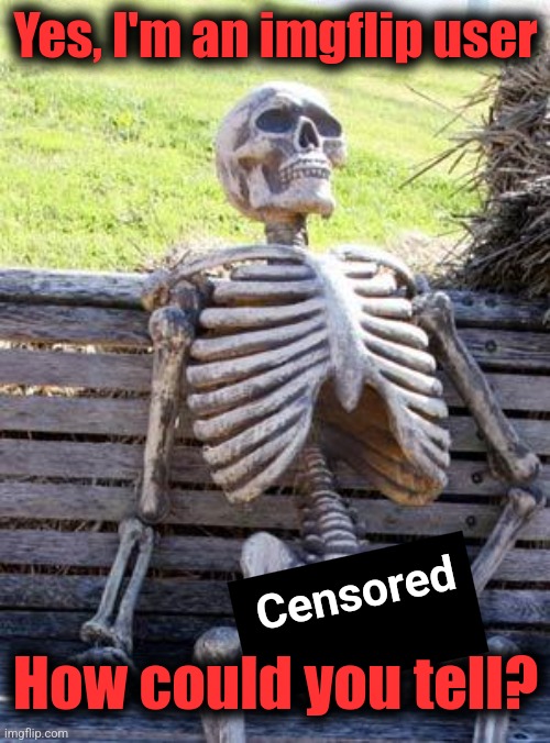 Waiting Skeleton Meme | Yes, I'm an imgflip user How could you tell? Censored | image tagged in memes,waiting skeleton | made w/ Imgflip meme maker