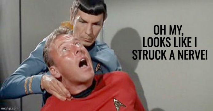 When you triggered someone and they go on a lengthy word salad rant | OH MY, 

LOOKS LIKE I STRUCK A NERVE! | image tagged in neck pain spock,triggered liberal,you can't handle the truth,woke | made w/ Imgflip meme maker