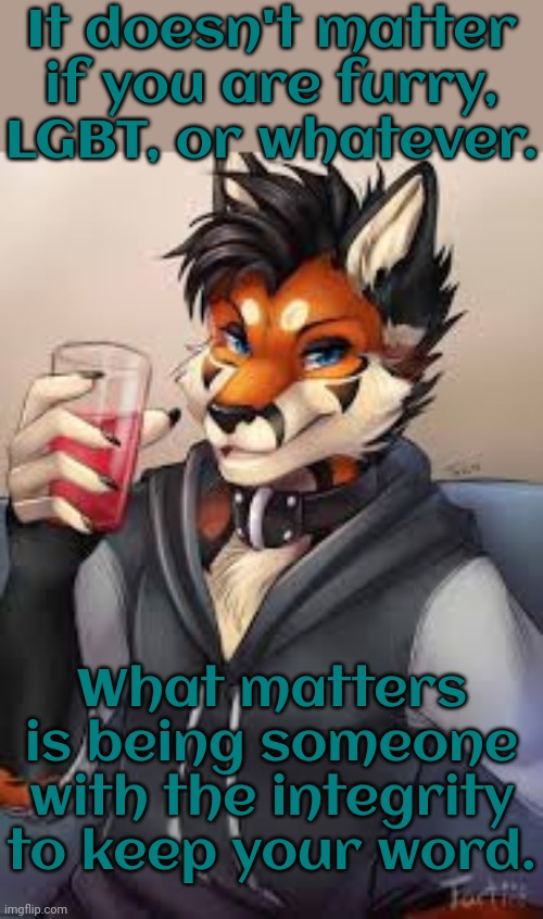 Don't stab people in the back. | It doesn't matter if you are furry, LGBT, or whatever. What matters is being someone with the integrity to keep your word. | image tagged in furry leonardo dicaprio,betrayed,stream,imgflip mods | made w/ Imgflip meme maker