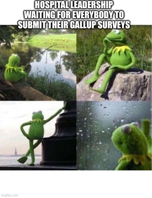 Leadership waiting for Everybody to do their surveys | HOSPITAL LEADERSHIP WAITING FOR EVERYBODY TO SUBMIT THEIR GALLUP SURVEYS | image tagged in blank kermit waiting,hospital,ceo,funny,nurse,doctor | made w/ Imgflip meme maker