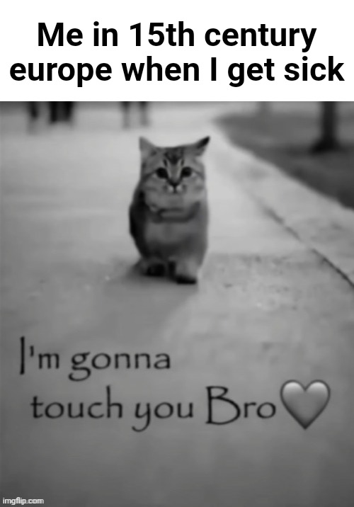 Is this dark humor? | Me in 15th century europe when I get sick | image tagged in i'm gonna touch you bro | made w/ Imgflip meme maker