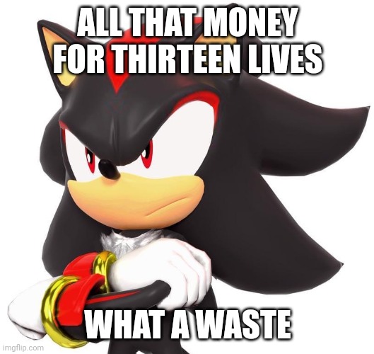 Shadow The Hedgehog | ALL THAT MONEY FOR THIRTEEN LIVES WHAT A WASTE | image tagged in shadow the hedgehog | made w/ Imgflip meme maker