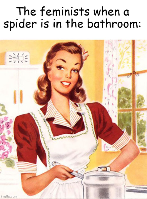 kil da spidr | The feminists when a spider is in the bathroom: | image tagged in 50s housewife | made w/ Imgflip meme maker