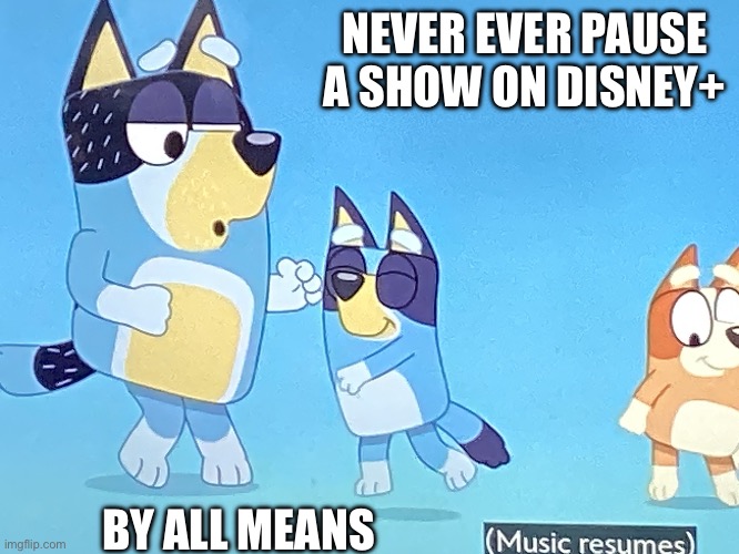 Never pause a Disney movie | NEVER EVER PAUSE A SHOW ON DISNEY+; BY ALL MEANS | image tagged in say goodbye | made w/ Imgflip meme maker