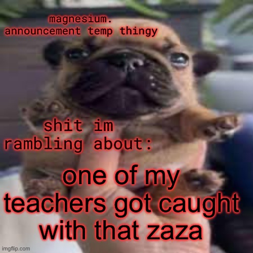 pug temp | one of my teachers got caught with that zaza | image tagged in pug temp | made w/ Imgflip meme maker