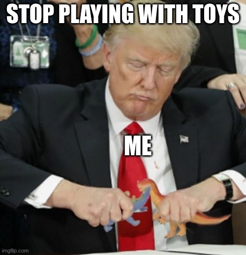 Trump playing with dinosaurs | STOP PLAYING WITH TOYS; ME | image tagged in trump playing with dinosaurs | made w/ Imgflip meme maker