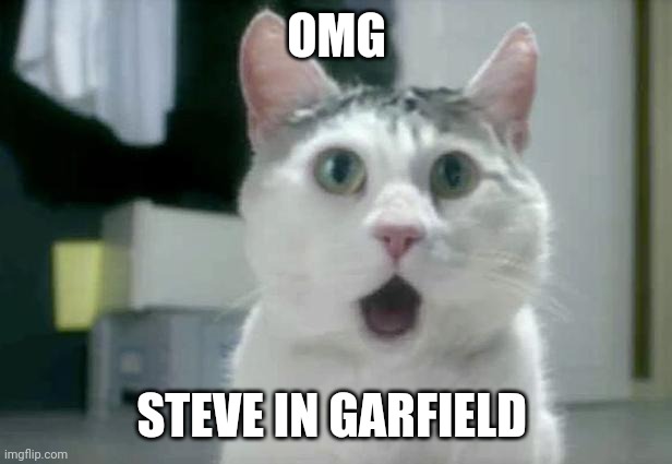 OMG Cat Meme | OMG STEVE IN GARFIELD | image tagged in memes,omg cat | made w/ Imgflip meme maker