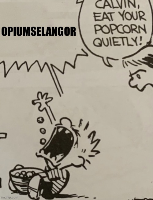 Calvin eat your popcorn quietly | OPIUMSELANGOR | image tagged in calvin eat your popcorn quietly | made w/ Imgflip meme maker