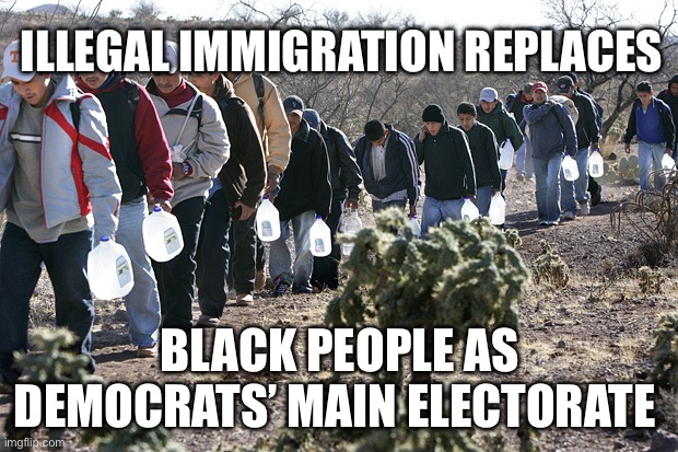 Illegal immigrants crossing border | ILLEGAL IMMIGRATION REPLACES; BLACK PEOPLE AS DEMOCRATS’ MAIN ELECTORATE | image tagged in illegal immigrants crossing border,politics,political meme,black lives matter | made w/ Imgflip meme maker
