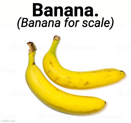 People often forget how big a banana is. | Banana. (Banana for scale) | image tagged in banana,nababa,yellow,scale,banana for scale,bananana | made w/ Imgflip meme maker