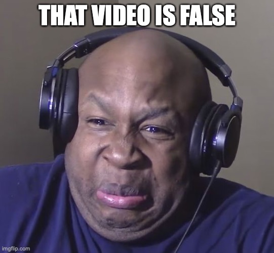 Cringe | THAT VIDEO IS FALSE | image tagged in cringe | made w/ Imgflip meme maker