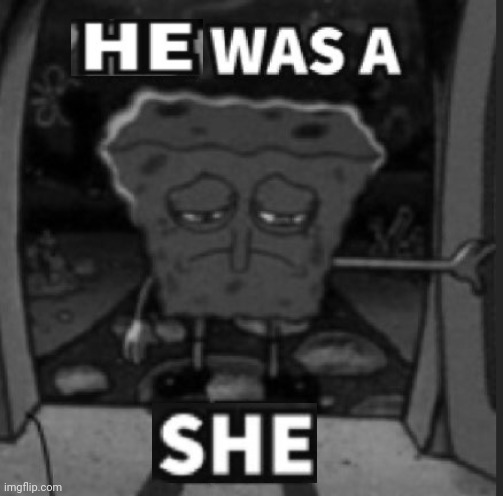He was a she | image tagged in he was a she | made w/ Imgflip meme maker