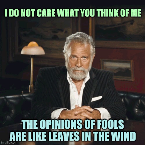 Interesting Man | I DO NOT CARE WHAT YOU THINK OF ME; THE OPINIONS OF FOOLS ARE LIKE LEAVES IN THE WIND | image tagged in interesting man,the most interesting man in the world,opinions,fools,leaves,wind | made w/ Imgflip meme maker