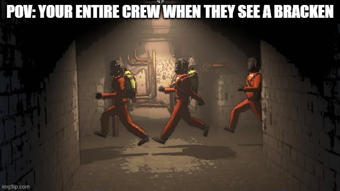 lethal dumbasses | POV: YOUR ENTIRE CREW WHEN THEY SEE A BRACKEN | image tagged in running down the halls,memes,lethal company | made w/ Imgflip meme maker