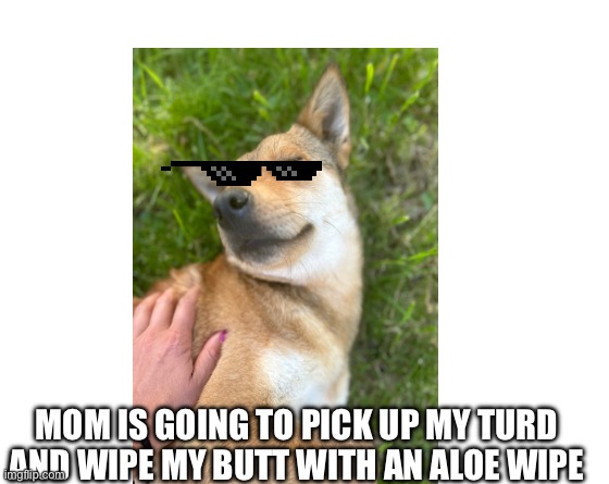 Doggo | MOM IS GOING TO PICK UP MY TURD AND WIPE MY BUTT WITH AN ALOE WIPE | image tagged in make your own meme | made w/ Imgflip meme maker