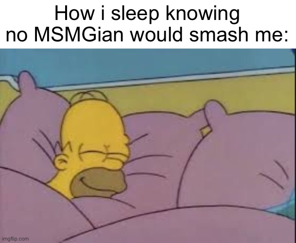 how i sleep homer simpson | How i sleep knowing no MSMGian would smash me: | image tagged in how i sleep homer simpson | made w/ Imgflip meme maker