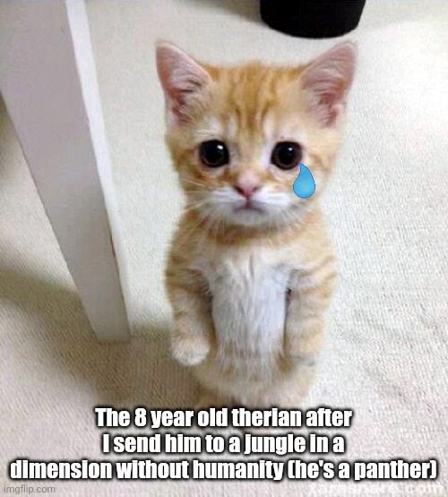 I put the teardrop in a wrong place but who cares (can I be mod?) | The 8 year old therian after I send him to a jungle in a dimension without humanity (he's a panther) | image tagged in memes,cute cat | made w/ Imgflip meme maker