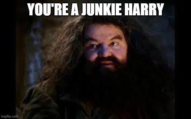 hagrid yer a wizard | YOU'RE A JUNKIE HARRY | image tagged in hagrid yer a wizard | made w/ Imgflip meme maker