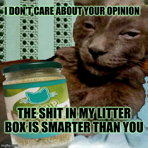 Shit Poster 4 Lyfe | I DON'T CARE ABOUT YOUR OPINION; THE SHIT IN MY LITTER BOX IS SMARTER THAN YOU | image tagged in shit poster 4 lyfe,opinion,shit,litter box,get smart,stupid people | made w/ Imgflip meme maker
