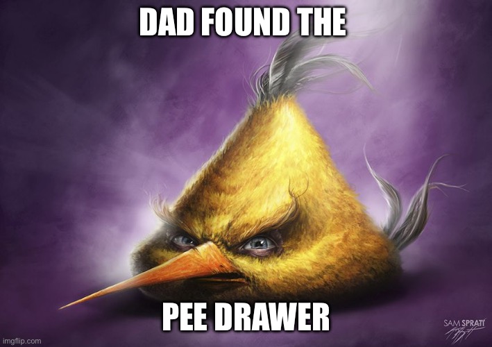 Realistic yellow angry bird | DAD FOUND THE; PEE DRAWER | image tagged in realistic yellow angry bird | made w/ Imgflip meme maker