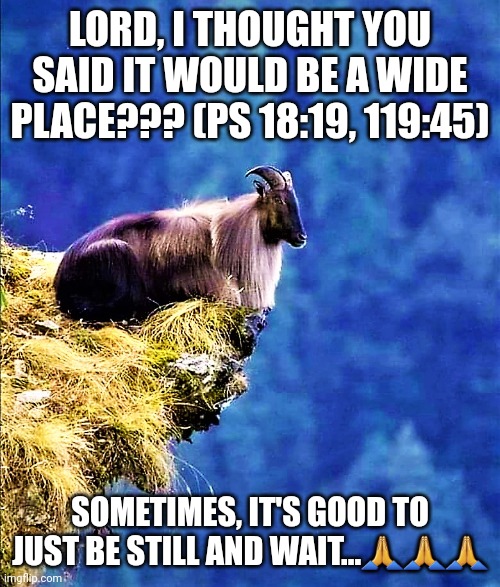 Be still, and know that I am God... | LORD, I THOUGHT YOU SAID IT WOULD BE A WIDE PLACE??? (PS 18:19, 119:45); SOMETIMES, IT'S GOOD TO JUST BE STILL AND WAIT...🙏🙏🙏 | image tagged in faith | made w/ Imgflip meme maker