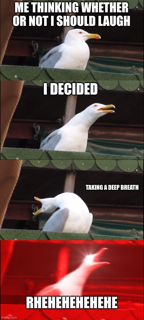 Inhaling Seagull | ME THINKING WHETHER OR NOT I SHOULD LAUGH; I DECIDED; TAKING A DEEP BREATH; RHEHEHEHEHEHE | image tagged in memes,inhaling seagull | made w/ Imgflip meme maker