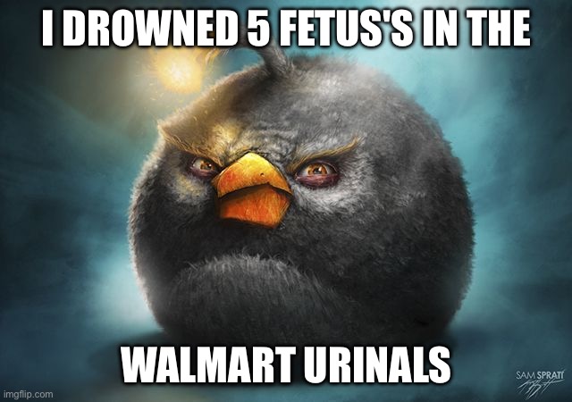 Funni | I DROWNED 5 FETUS'S IN THE; WALMART URINALS | image tagged in angry birds bomb | made w/ Imgflip meme maker
