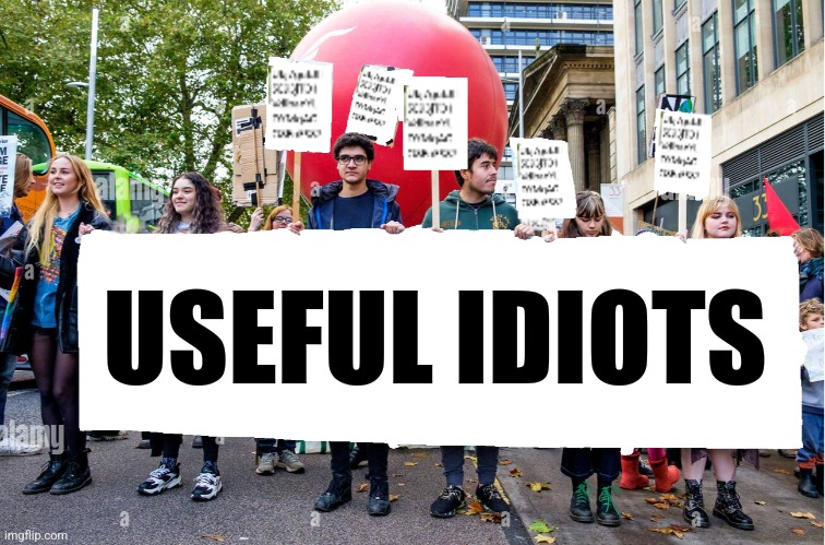 What two words best describe those protesting on college campuses right now? | USEFUL IDIOTS | image tagged in idiots,protesters,dumb,terrorists,support | made w/ Imgflip meme maker