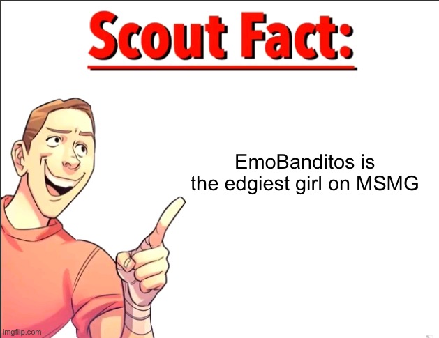 No wonder we thought she was a dude until she face revealed | EmoBanditos is the edgiest girl on MSMG | image tagged in scout fact | made w/ Imgflip meme maker