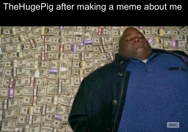 huell money | TheHugePig after making a meme about me | image tagged in huell money | made w/ Imgflip meme maker