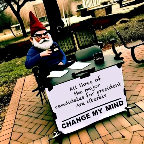 Liberals | All three of the major candidates for president 
Are liberals | image tagged in change my mind meme with a grumpy gnome | made w/ Imgflip meme maker