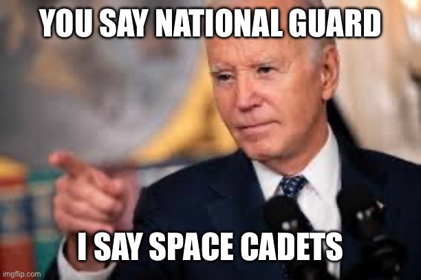 YOU SAY NATIONAL GUARD; I SAY SPACE CADETS | image tagged in libtards,libtard,stupid liberals,liberal hypocrisy,space force | made w/ Imgflip meme maker