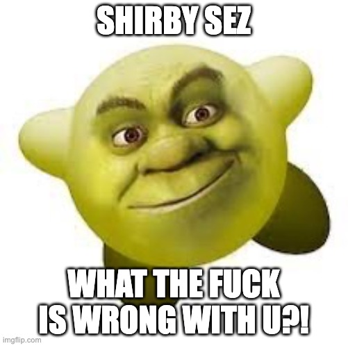 SHIRBY SEZ WHAT THE FUCK IS WRONG WITH U?! | image tagged in shirby | made w/ Imgflip meme maker