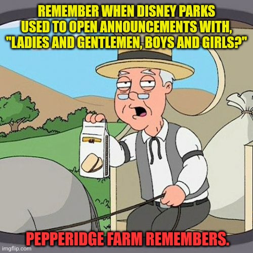 The ladies and gentlemen, girls and boys remember too | REMEMBER WHEN DISNEY PARKS USED TO OPEN ANNOUNCEMENTS WITH, "LADIES AND GENTLEMEN, BOYS AND GIRLS?"; PEPPERIDGE FARM REMEMBERS. | image tagged in memes,pepperidge farm remembers,woke,pronouns,disney | made w/ Imgflip meme maker