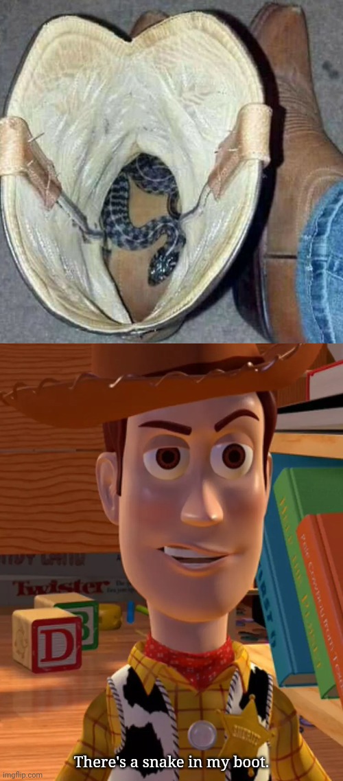 Snake in boot | There's a snake in my boot. | image tagged in woody draw,snake,boot,boots,cursed image,memes | made w/ Imgflip meme maker