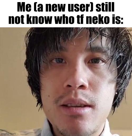 Staring | Me (a new user) still not know who tf neko is: | image tagged in staring | made w/ Imgflip meme maker