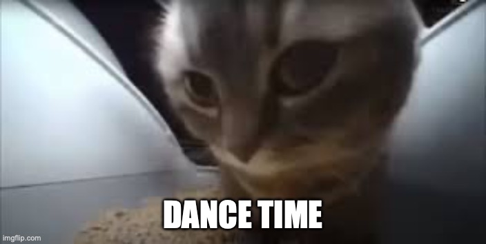 CHIPI CHIPI CHAPA CHAPA DUBI DUBI DABA DABA | DANCE TIME | image tagged in dubidubidu cat | made w/ Imgflip meme maker