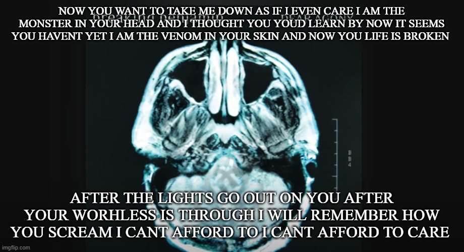 NOW YOU WANT TO TAKE ME DOWN AS IF I EVEN CARE I AM THE MONSTER IN YOUR HEAD AND I THOUGHT YOU YOUD LEARN BY NOW IT SEEMS YOU HAVENT YET I AM THE VENOM IN YOUR SKIN AND NOW YOU LIFE IS BROKEN; AFTER THE LIGHTS GO OUT ON YOU AFTER YOUR WORHLESS IS THROUGH I WILL REMEMBER HOW YOU SCREAM I CANT AFFORD TO I CANT AFFORD TO CARE | made w/ Imgflip meme maker