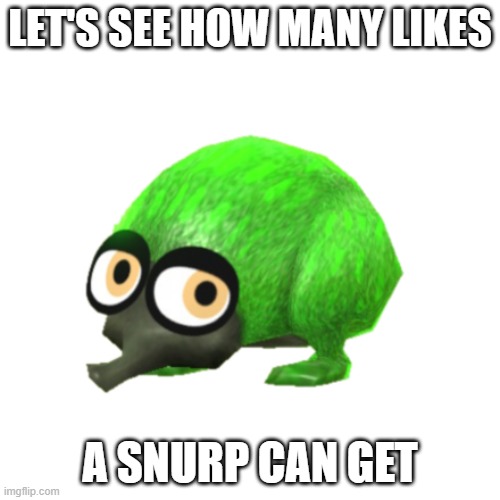 Snurp | LET'S SEE HOW MANY LIKES; A SNURP CAN GET | image tagged in snurp | made w/ Imgflip meme maker