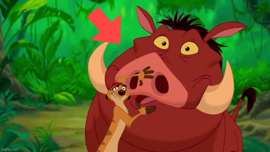 timone pumbaa | image tagged in timone pumbaa | made w/ Imgflip meme maker