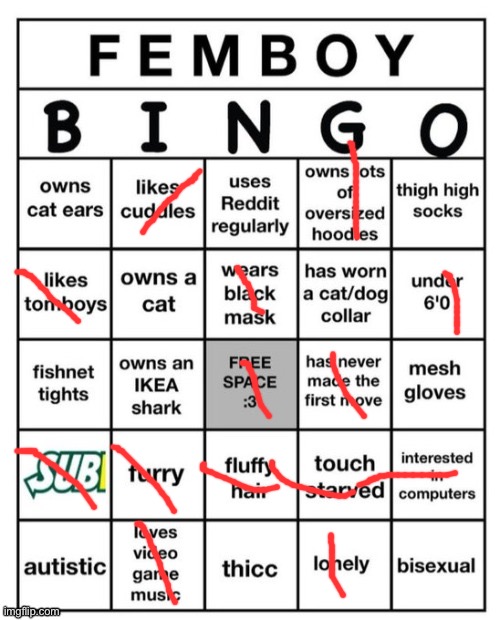 Femboy Bingo | image tagged in femboy bingo | made w/ Imgflip meme maker