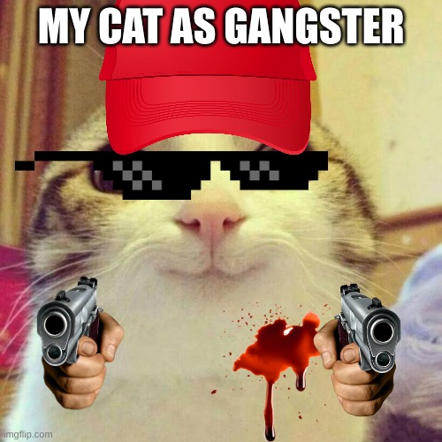 Smiling Cat Meme | MY CAT AS GANGSTER | image tagged in memes,smiling cat | made w/ Imgflip meme maker