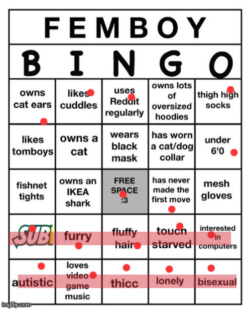 Femboy Bingo | image tagged in femboy bingo | made w/ Imgflip meme maker