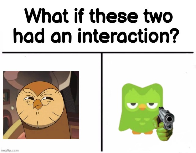 What if these two had an interaction? | image tagged in what if these two had an interaction,hooty like,duolingo | made w/ Imgflip meme maker