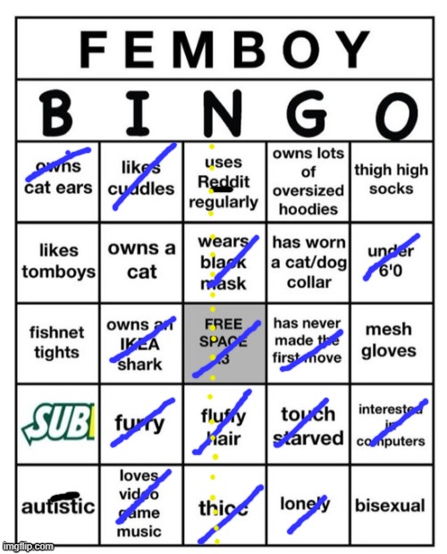 Femboy Bingo | image tagged in femboy bingo | made w/ Imgflip meme maker