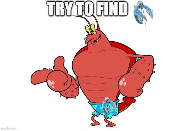 tiktok be like | TRY TO FIND | image tagged in tiktok,be like,be,like,blue lobster | made w/ Imgflip meme maker