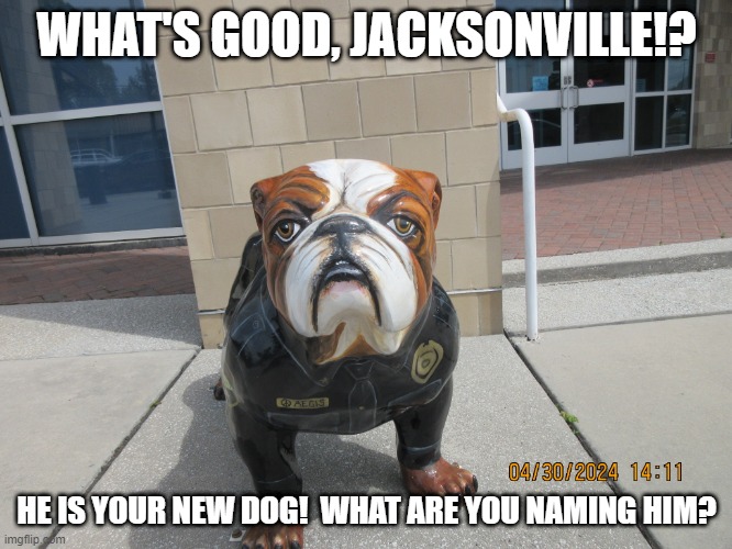 Your New Dog! | WHAT'S GOOD, JACKSONVILLE!? HE IS YOUR NEW DOG!  WHAT ARE YOU NAMING HIM? | image tagged in jacksonville nc police dog,bulldog,cute dog | made w/ Imgflip meme maker