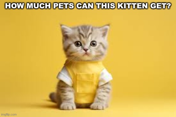 M | HOW MUCH PETS CAN THIS KITTEN GET? | image tagged in lol,kittens,cats,memes,hot page | made w/ Imgflip meme maker
