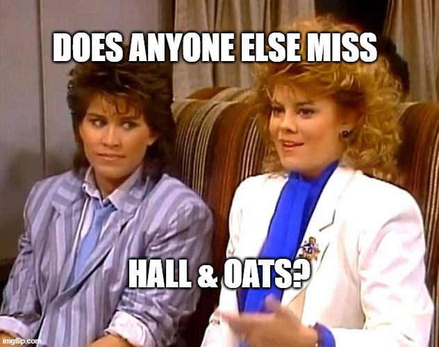 Hall and Oats | DOES ANYONE ELSE MISS; HALL & OATS? | image tagged in hall and oats | made w/ Imgflip meme maker