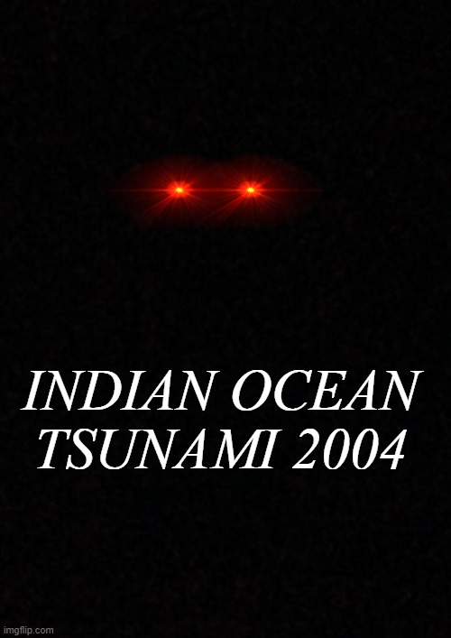 Blank  | INDIAN OCEAN
TSUNAMI 2004 | image tagged in blank | made w/ Imgflip meme maker